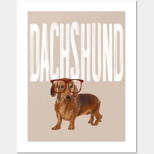 Dachshund Dog Posters and Art